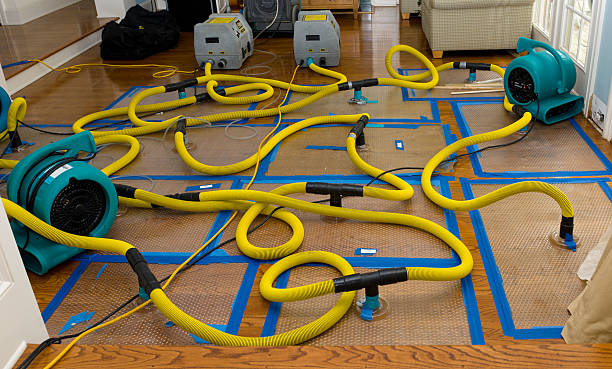 Professional Basement Flood Cleanup technician working in Dilley, TX